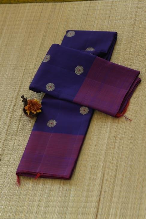 A Blue Purple Kanjeevaram Saree_1