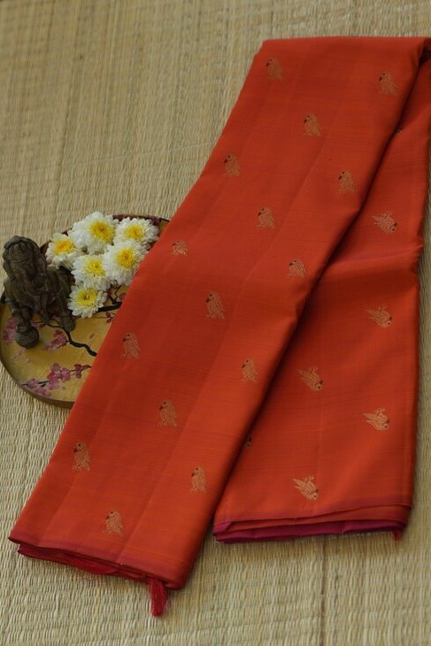 A Orange Pink Borderles Kanjeevaram Saree 1